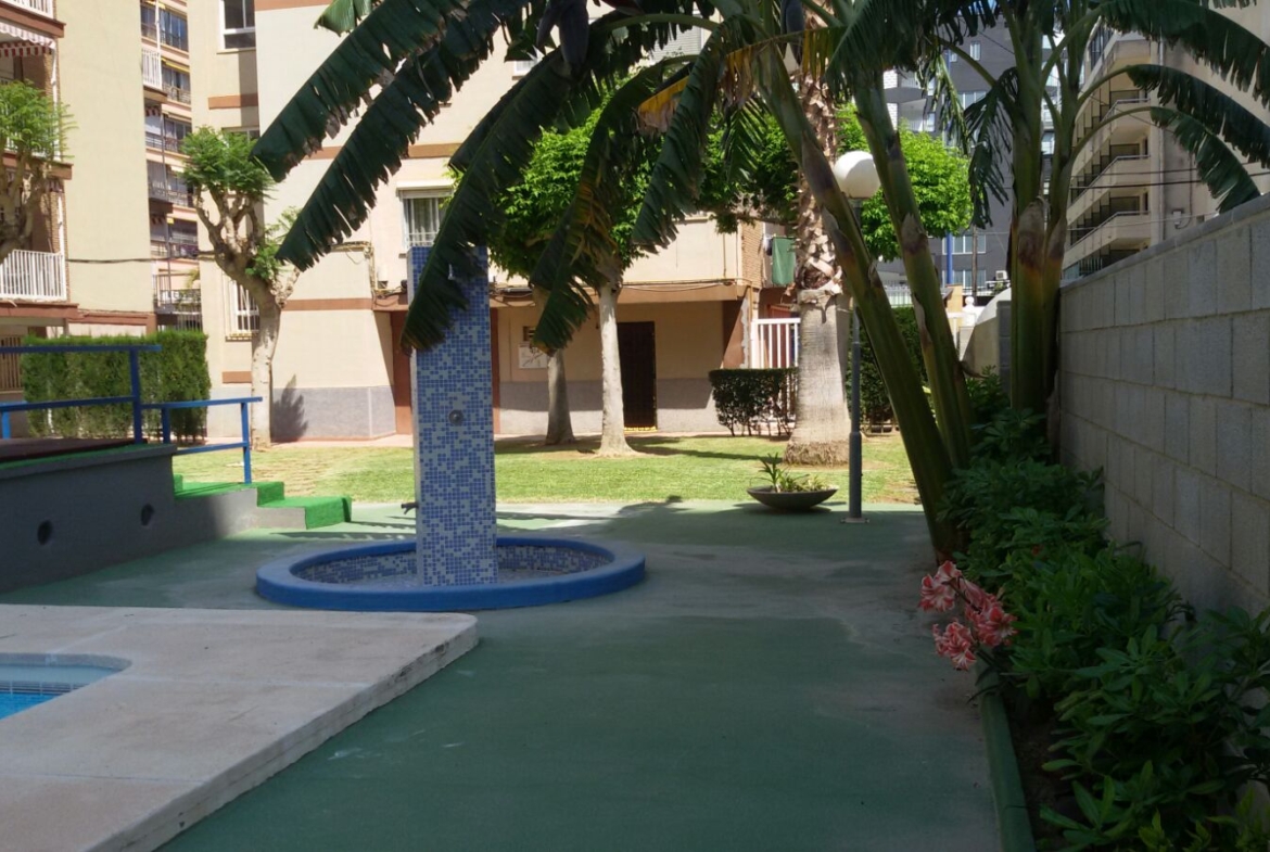 Alquiler de larga temporada a estrenar en pleno centro de Levante