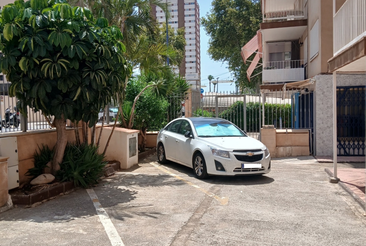 Alquiler de larga temporada a estrenar en pleno centro de Levante